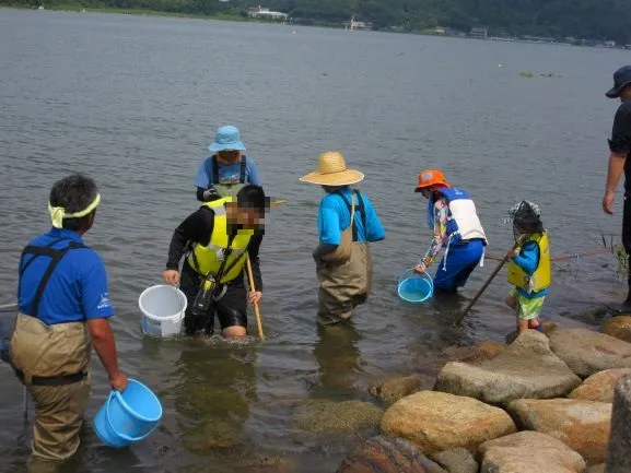●子どもラムサールクラブ：湖岸近くの生きもの観察