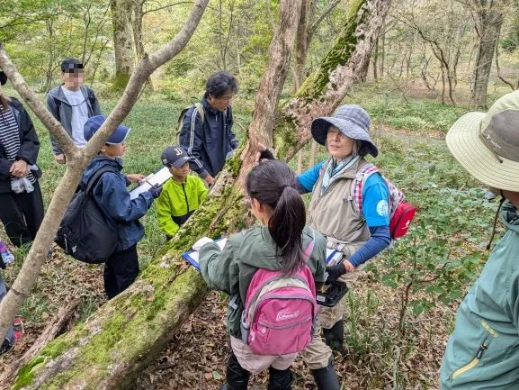 ●子どもラムサールクラブ：落葉のブナの森ハイキング